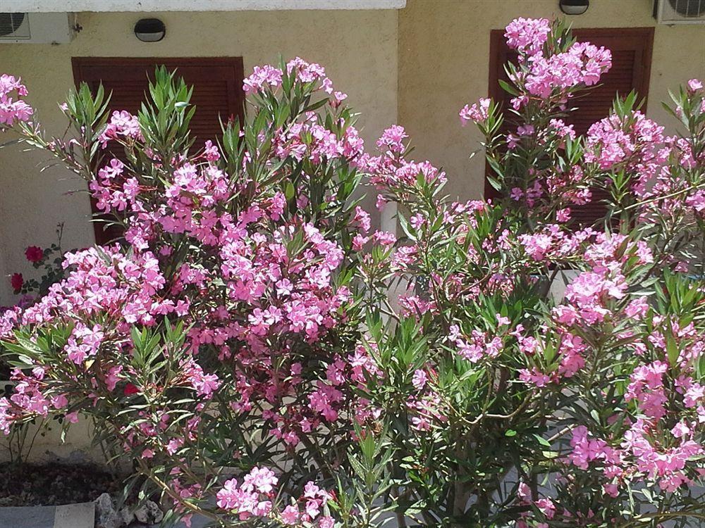 Apartamento Amaril Platanes  Exterior foto
